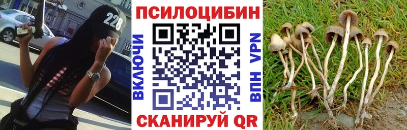 Псилоцибиновые грибы мухоморы Александровск