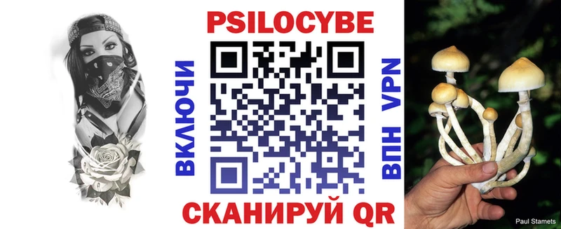 Галлюциногенные грибы мухоморы  Купить где  Александровск 