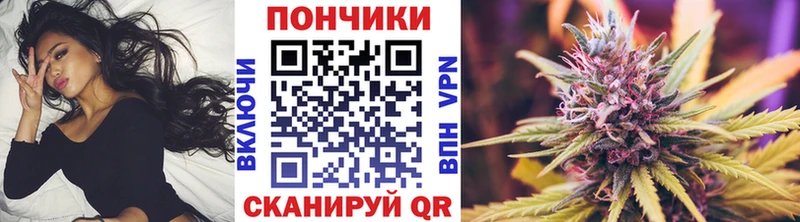 Купить закладки  Александровск  Канабис THC 21% 